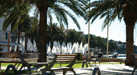 37th International New Year's Regatta